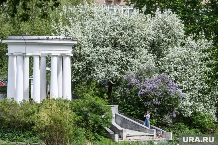 Ямальцев удивляет такая погода