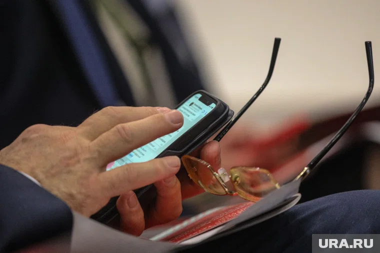 Женщине из Кургана, оскорбившей педагога в мессенджере, назначили штраф