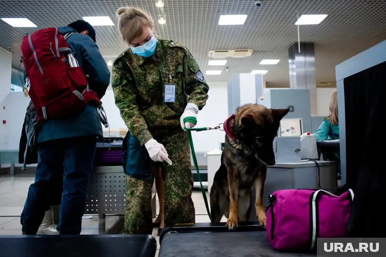 В Екатеринбург из Бишкека прибыли 35 россиян