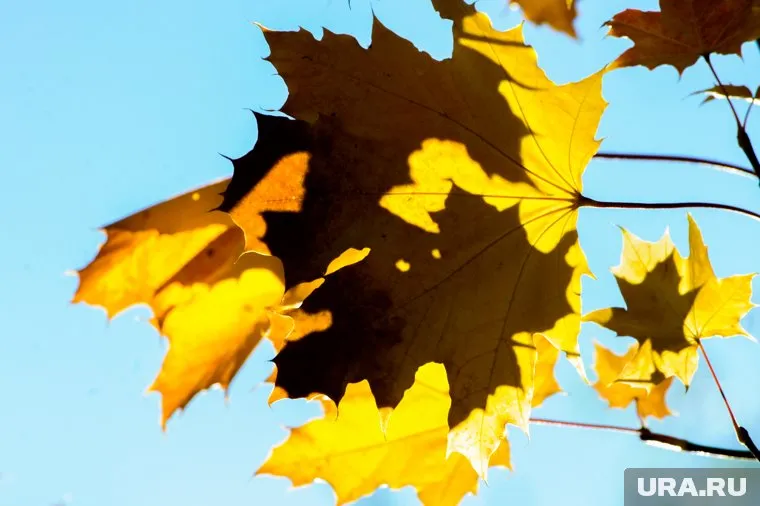 Ночные температуры вернутся к плюсовым