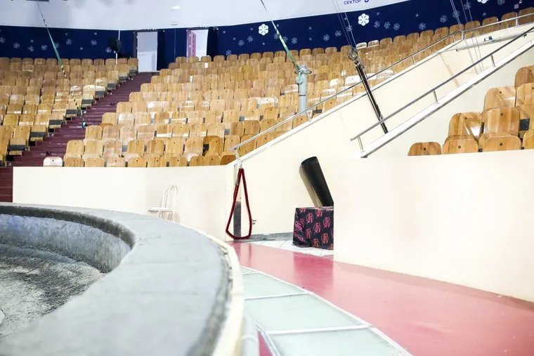 Цирк. Тюмень