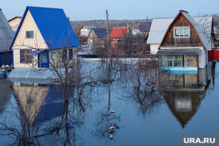 Курганцам, неполучившим матпомощь, проработают вопрос с единовременными выплатами