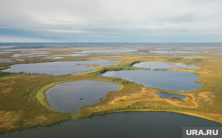 Рейсы из Тюмени в Бованенково и Белоярский задержаны на сутки из-за погоды в пунктах назначения