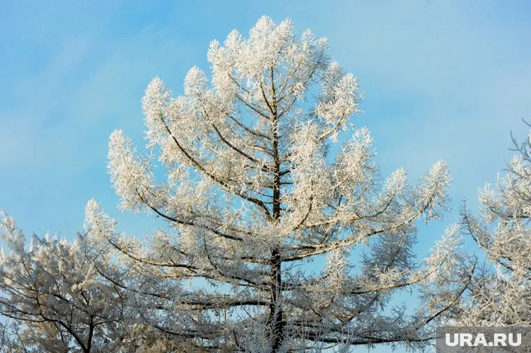 Самые сильные морозы будут в низинах