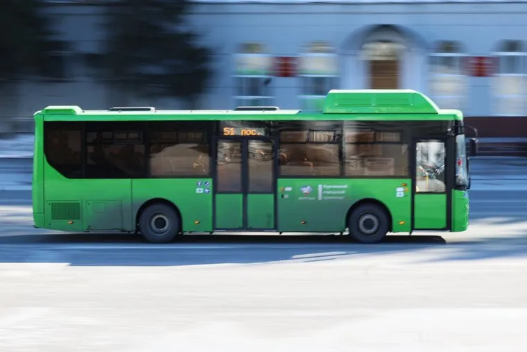 Город. Курган