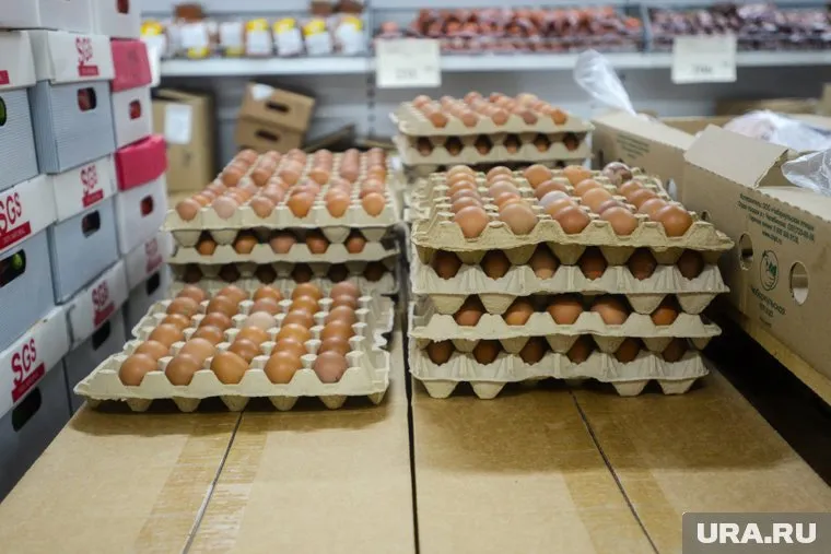 В РФ подешевели яйца
