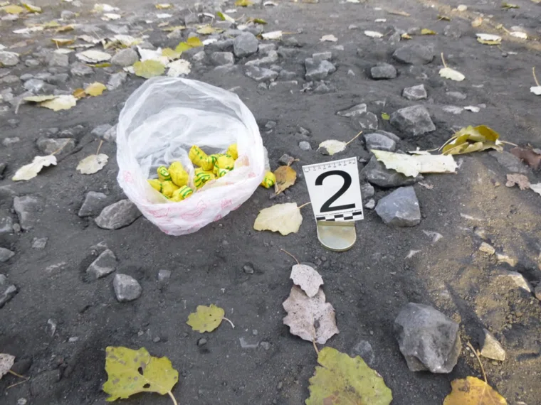 Общая масса изъятых наркотиков составила около 200 граммов