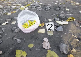 Наркосбытчица устроила десятки тайников с синтетикой в челябинском городе