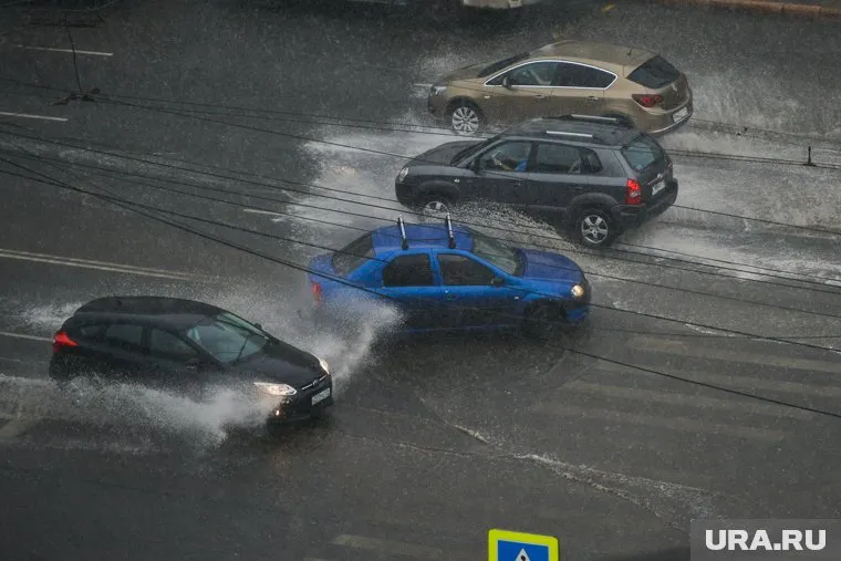 В понедельник в регионе вновь ожидаются дожди