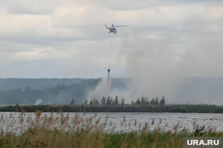 Из-за аномально жаркой погоды в Свердловской области разгораются лесные пожары