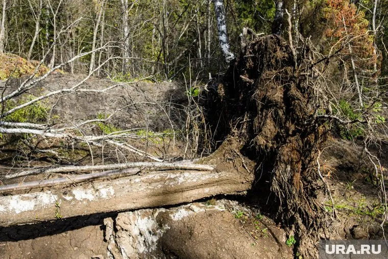 Сила колебаний составила 3,9 балла (архивное фото)