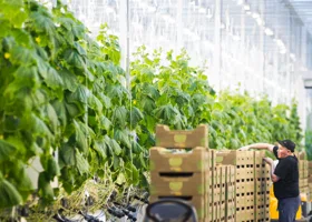 В Европе повысятся цены на продукты из-за российских санкций