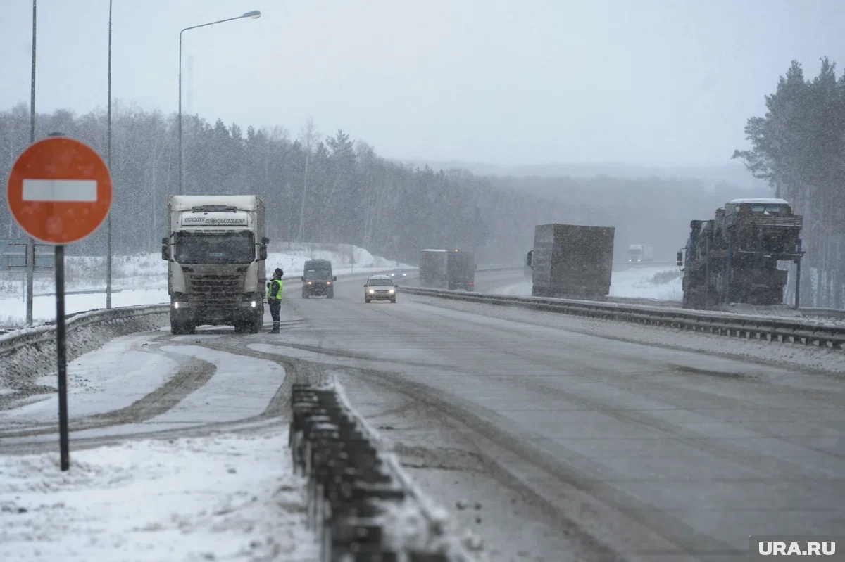 В районе города Златоуст пошел обильный снег (архивное фото)