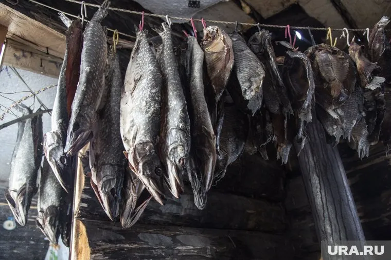 Деньги из бюджета области пойдут на компенсацию жителям Заболотья, которые не могу ловить и продавать рыбу