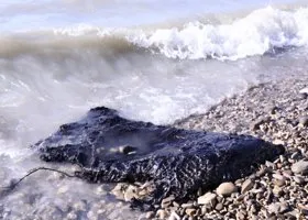 Море в Анапе полностью очистили от мазута
