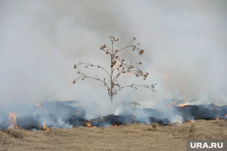 В ряде районов установлен наивысший класс горимости