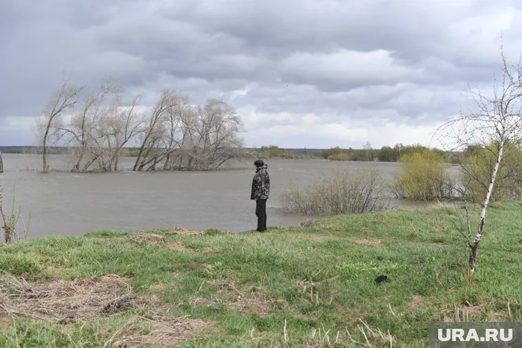 Женщина просила знакомого утопить дочь в реке за 100 тысяч рублей