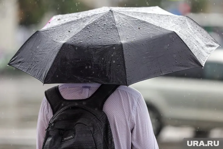 Эксперт предупредила, что в Москву может прийти непогода, как в Санкт-Петербурге