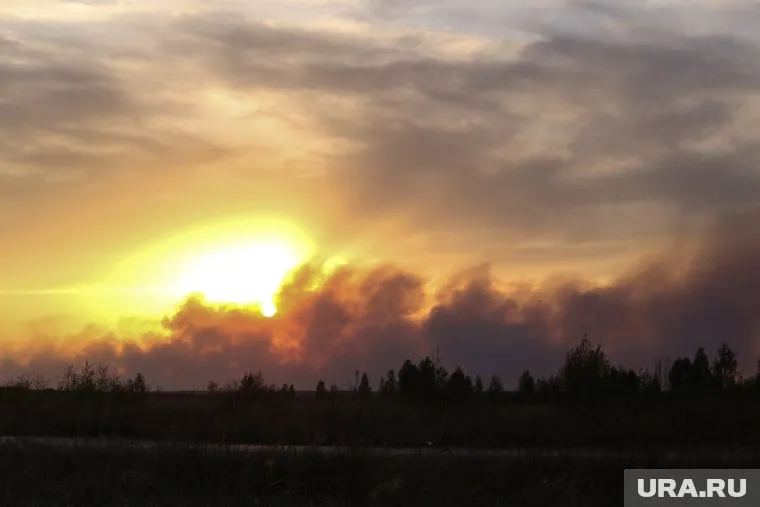 Вадим Шумков эффективно руководил работами по спасению сел от пожара