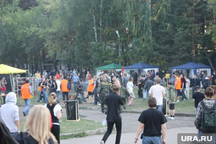 Более 30 человек пострадали от хулиганов на концерте