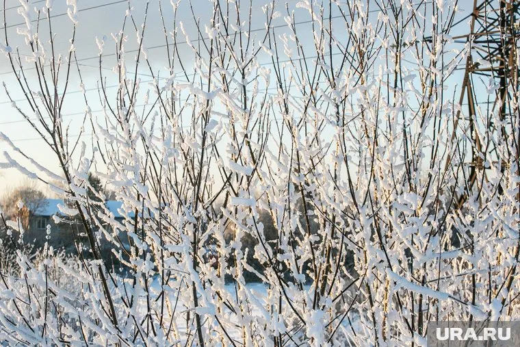 В областной столице занятия не отменили