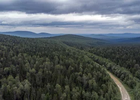 Фотография из галереи