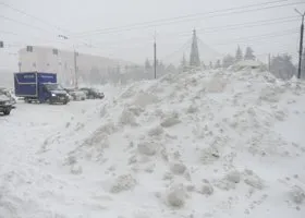 Фотография из галереи