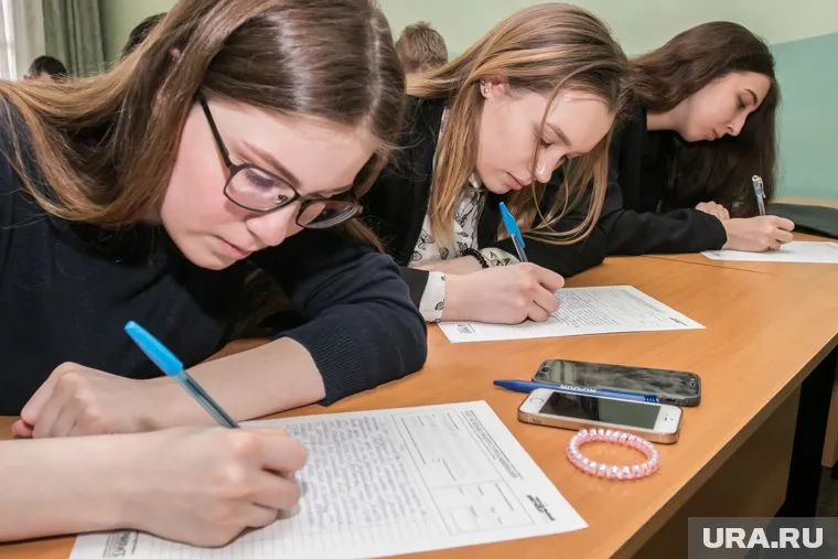 Выпускники вузов за счет распределения смогут лучше понять профессию, считает большинство курганцев