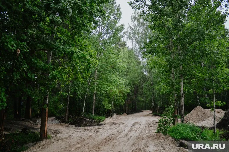 Леса разрешили посещать