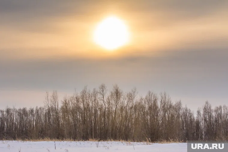 На Солнце зафиксировали несколько вспышек