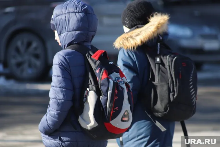 Инцидент с участием школьников произошел 29 декабря 2023 года