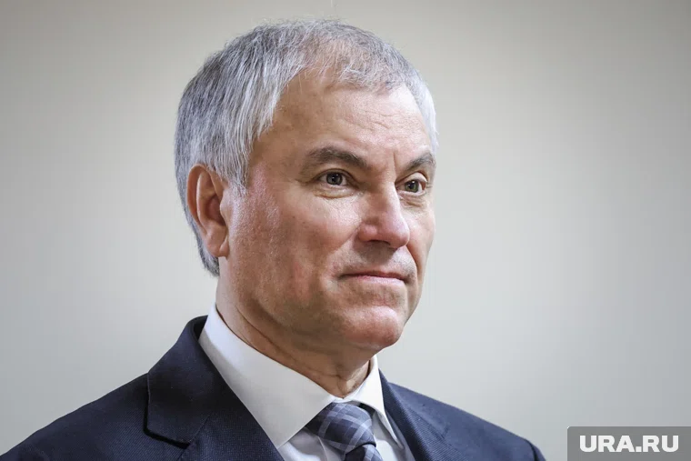 Володин заявил, что власти Украины сделали из страны плацдарм для реализации своих интересов