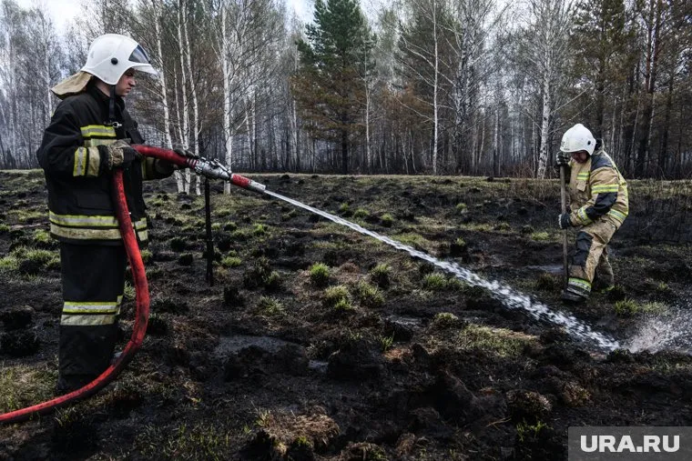 Действующих пожаров на территории ЯНАО нет