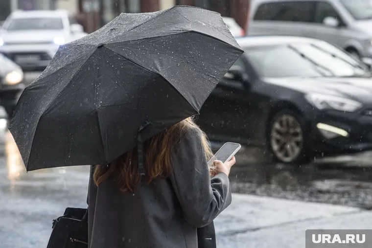 Дождь пойдет с утра, к обеду возможен снегодождь