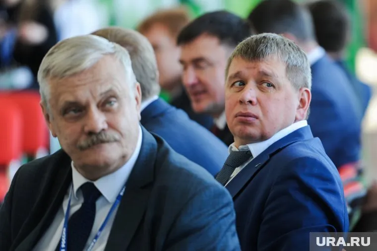 Профессор Сергей Лихачев вернется к обучению студентов