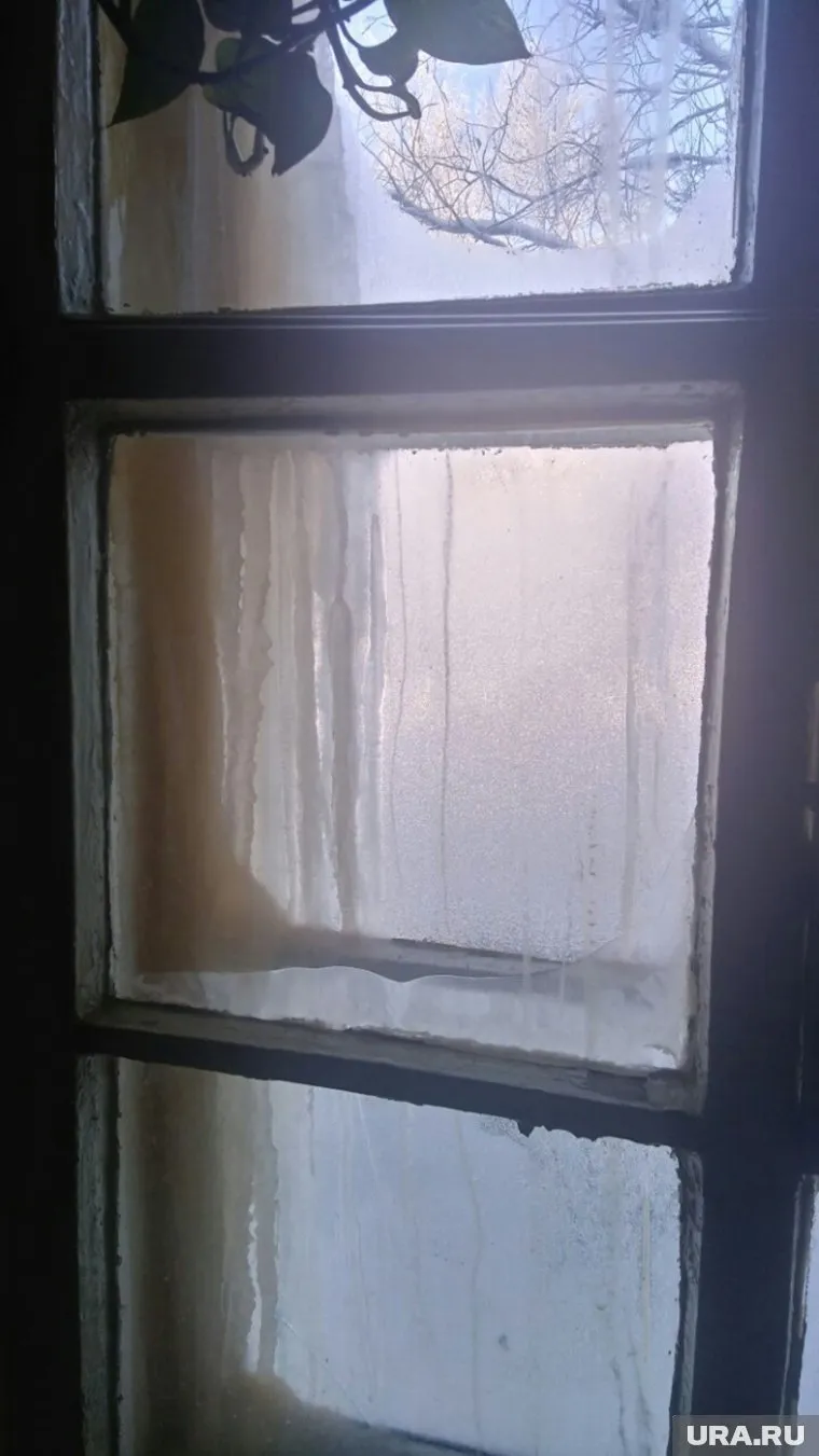 Замерзшие канализационные сливы закрыли жителям обзор из окна