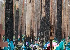 Фотография из галереи