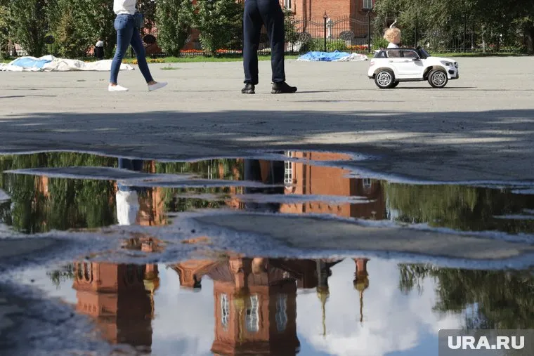 Большинство проголосовавших считают, что деньги нужно тратить на образование