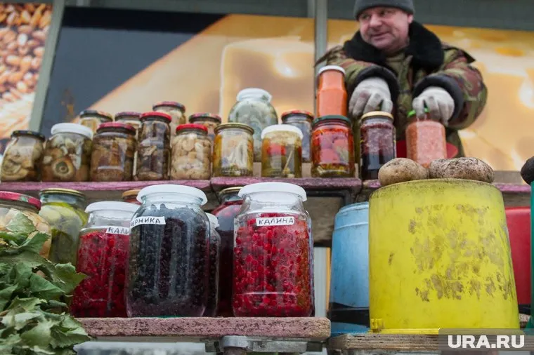 Россияне не спешат делать бизнес на дарах леса из-за несовершенства в законодательстве, считают в Минсельхозе