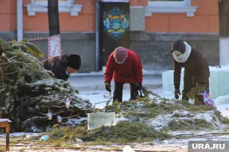 С 15 по 31 декабря в Кургане будут продавать елки (архивное фото)