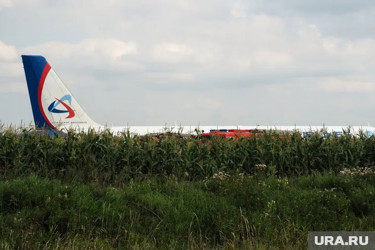 Пассажиров «Уральских авиалиний» отправят на автобусах домой
