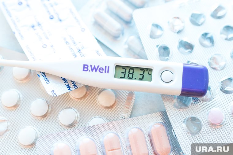 Сезон простуд: как обезопасить себя от гриппа и ОРВИ при суровой погоде ЯНАО. Инфографика