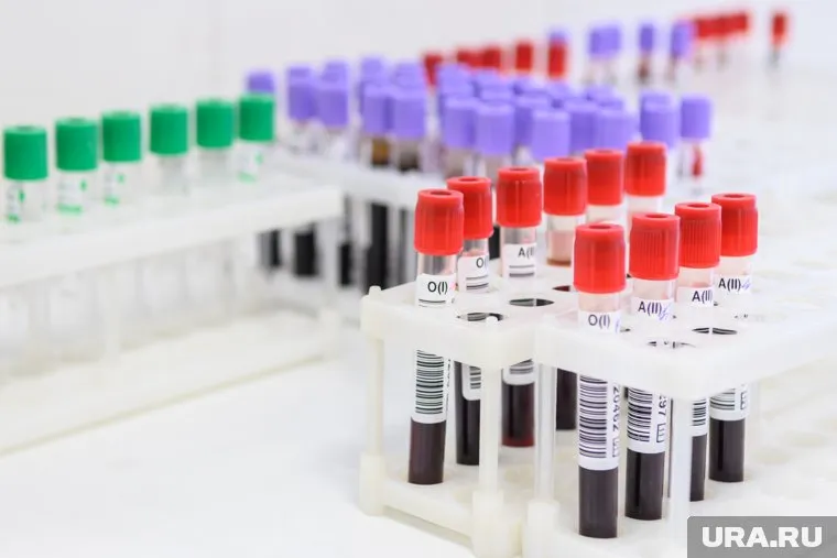 Ученые полагают, что новое отрытые поможет в разработке вакцин в будущем