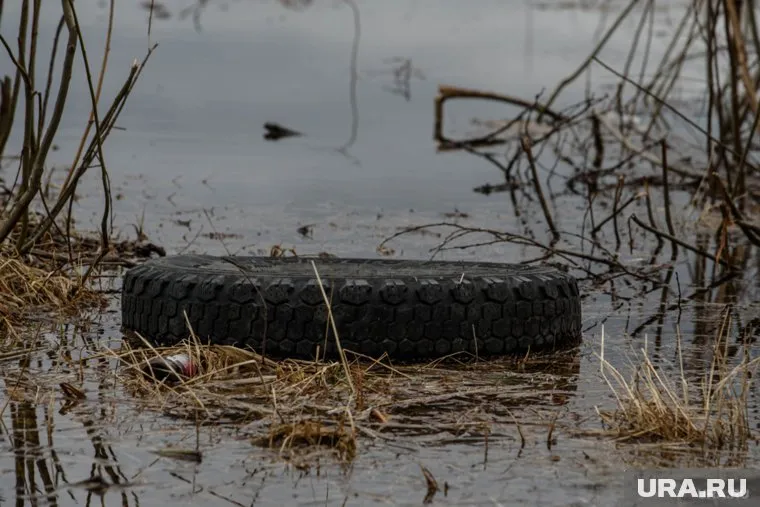 Территория оказалась подтоплена водой