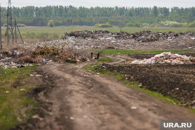 Полигон находится в Белозерском районе рядом с автодорогой (фото из архива)