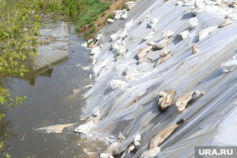 Вода продолжает прибывать в реках Ишим и Тура