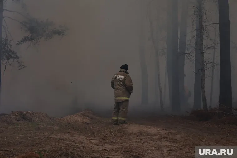 Курганцы рассказали, что лес горит недалеко от Голубых озер
