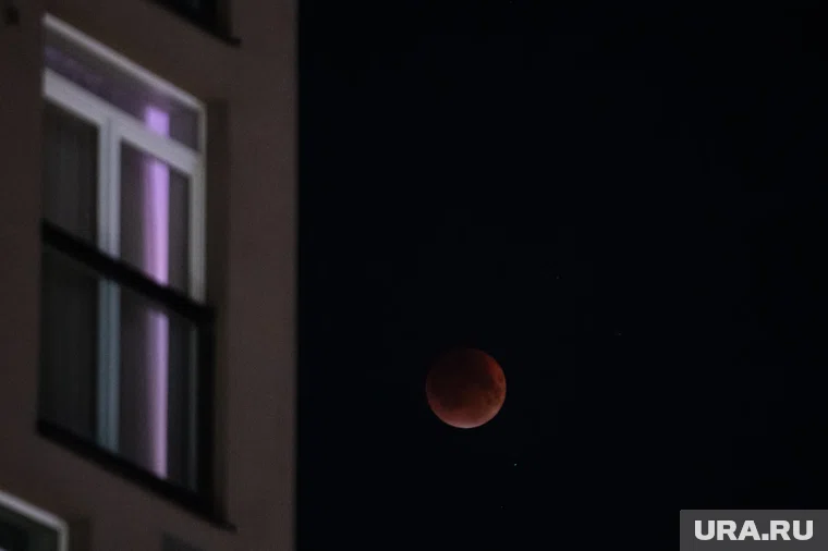 Трагедия произошла в доме на улице Арктической