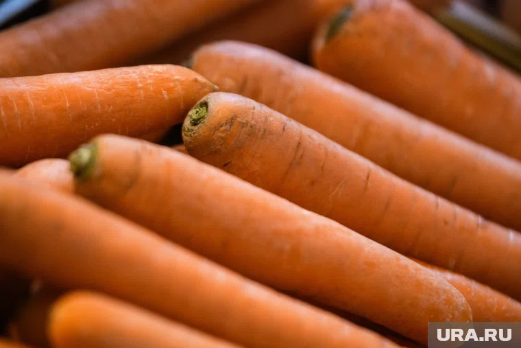 Челябинец попался на торговле запрещенными в России семенами моркови и других овощей 