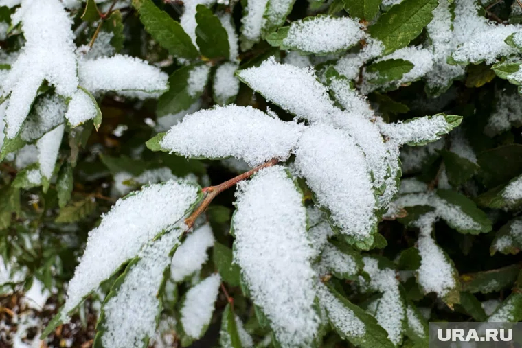 В Куртамыше столбики термометров показали -16,9 градуса